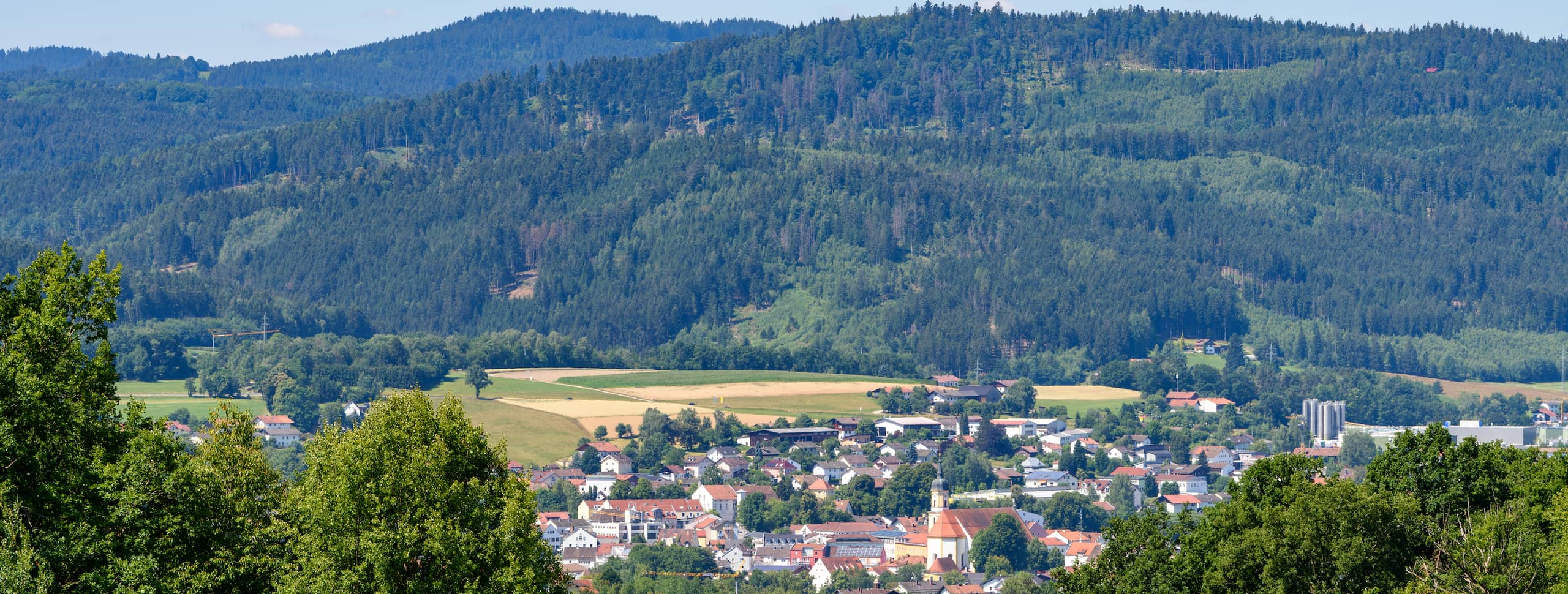 Anlage des Feriendorf Schwarzholz